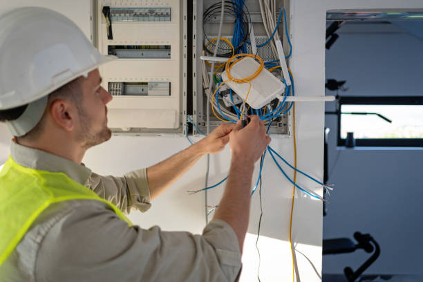Best Electric Panel Repair  in Lincoln, IL